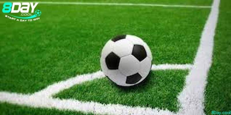 Các yếu tố ảnh hưởng tỷ lệ cá cược tại 8day